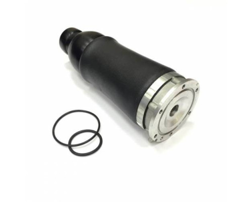 Передний пневмобаллон для Audi A6 Allroad C5 (2000-2006)