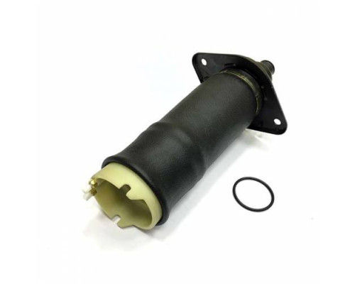 Задний левый пневмобаллон для Audi A6 Allroad C5 (2000-2006)