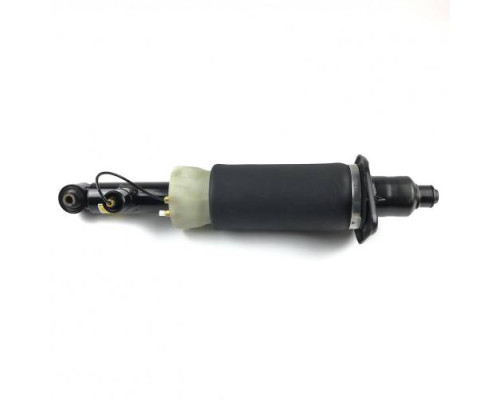 Задняя левая пневмостойка для Audi A6 Allroad C5 (2000-2006)