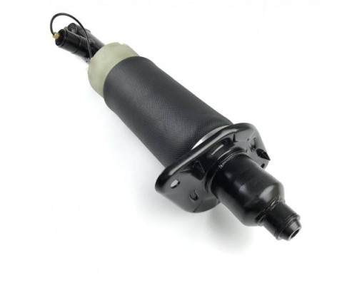 Задняя левая пневмостойка для Audi A6 Allroad C5 (2000-2006)