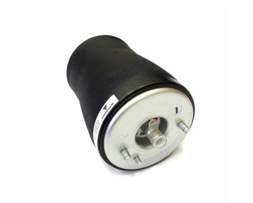 Задний правый пневмобаллон для BMW X5 e53 (1999-2006)