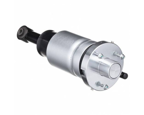 Задний пневматический амортизатор для Ford Expedition (2007-2013)