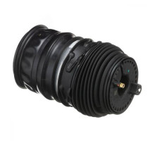 Задний пневмобаллон для Zeekr 001 (2021-2024)