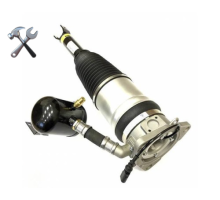 Ремонт заднего левого, правого пневмоамортизатора для Audi A8 D3 (2003-2010)