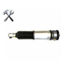 Ремонт заднего левого, правого пневмоамортизатора без EDC для BMW 7er E65/E66 (2001-2008)